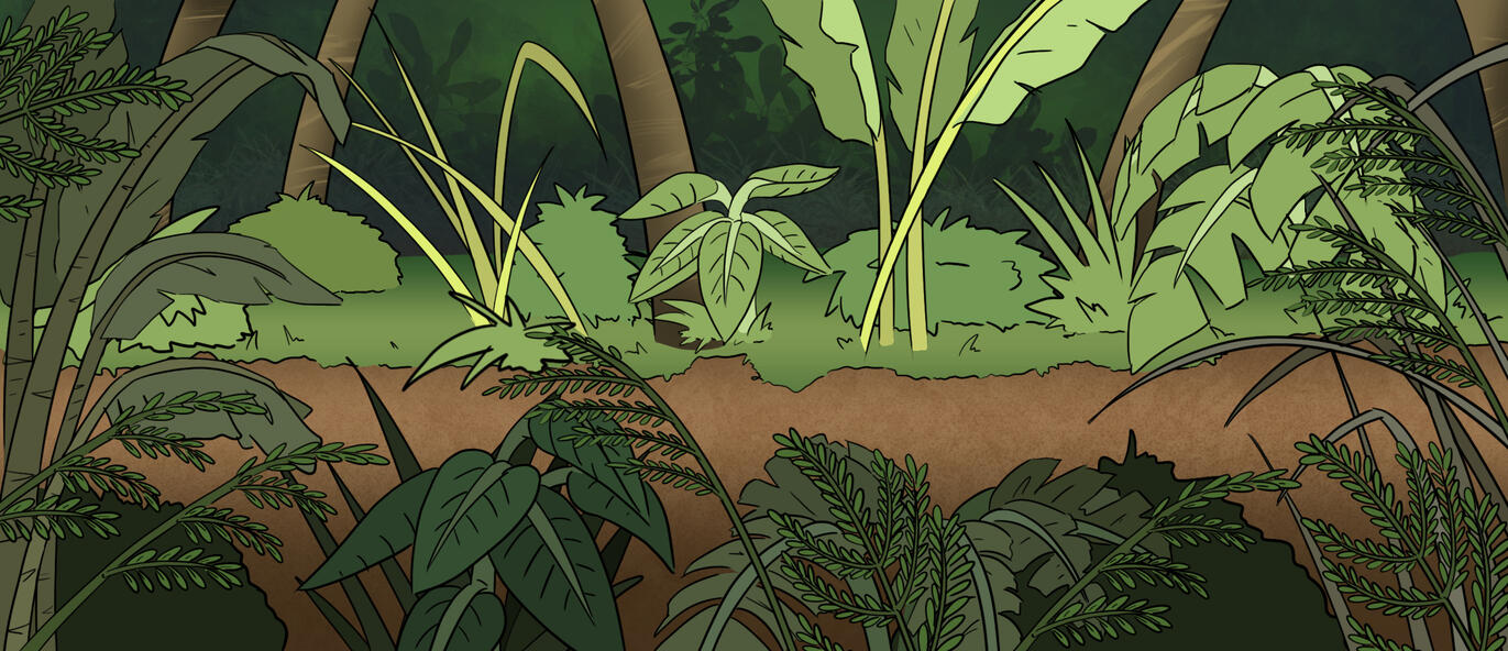 Jungle Trail